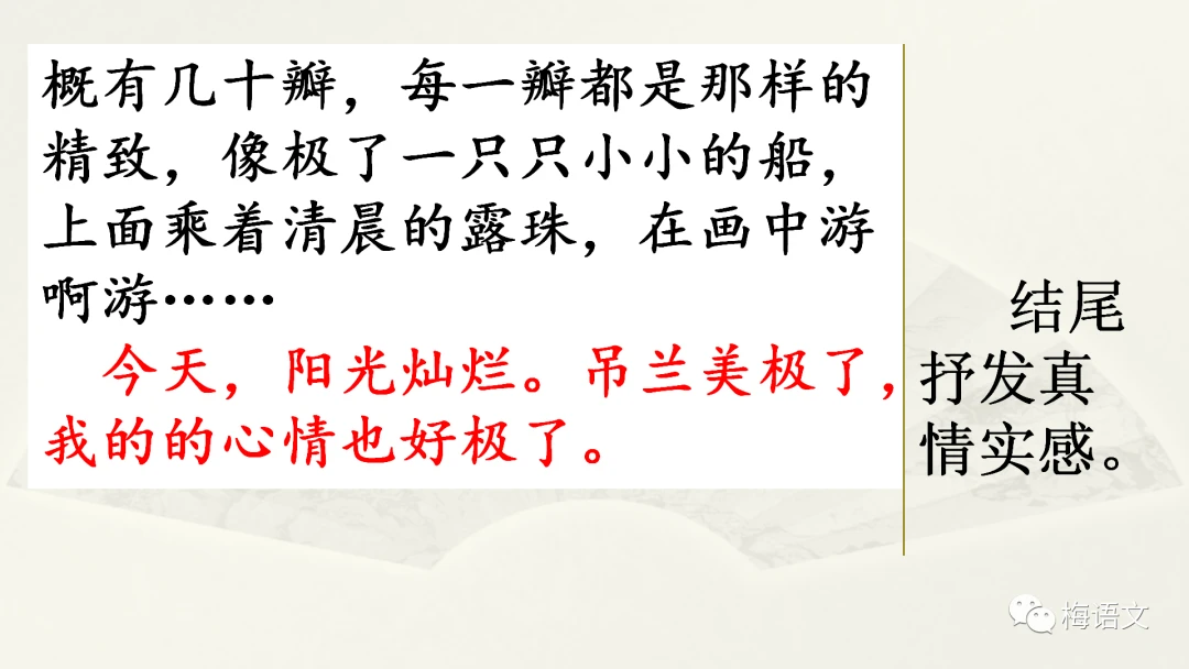 如何设计个性化的篮球训练方案以促进个体发展_0