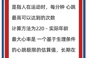  为什么测量篮球运动员的心率对训练有帮助：深入探讨与最佳实践
